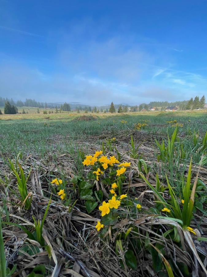 Pension Korytko Horska Kvilda Buitenkant foto